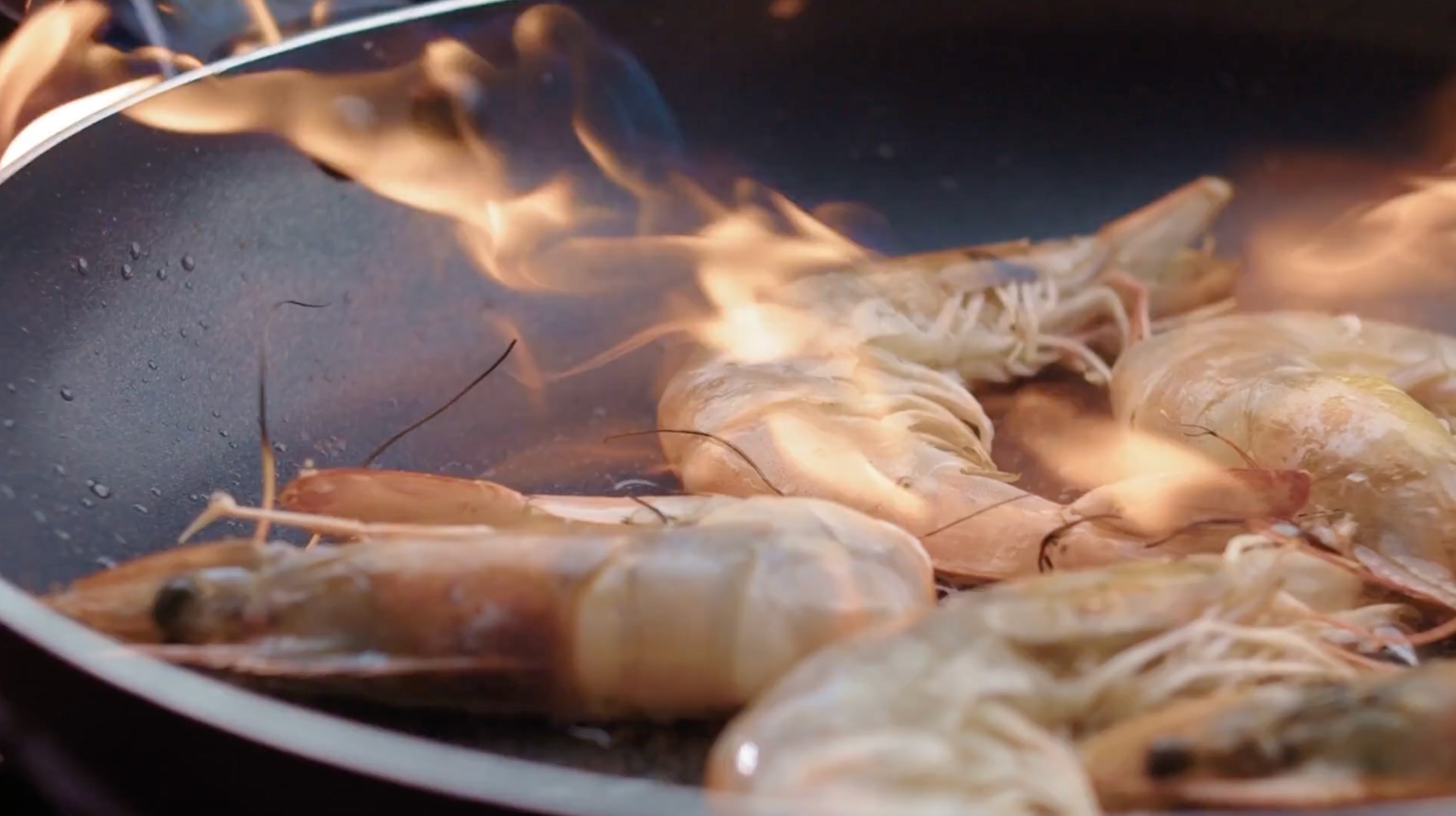 METRO Chef Tiefkühl-Seafood: Die Garnele, die aus dem Eis kam